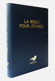 La Bible pour jeunes, vinyle, broché souple