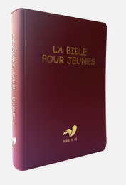 La Bible pour jeunes, vinyle, broché souple